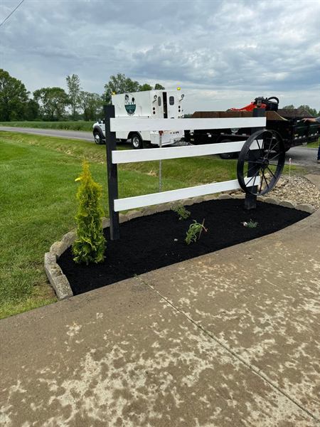 The same fence with a stone-edged black mulch bed, new arborvitae, and fresh plantings.