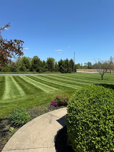 A striped lawn beside a rounded boxwood hedge and a curved sidewalk.